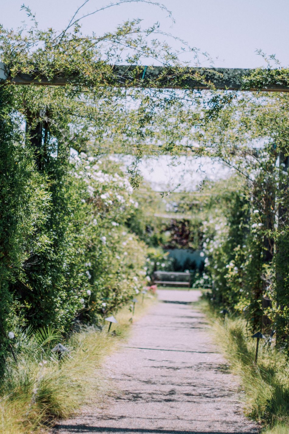 Brunch on Chestnut | Carneros Inn | Sonoma, CA