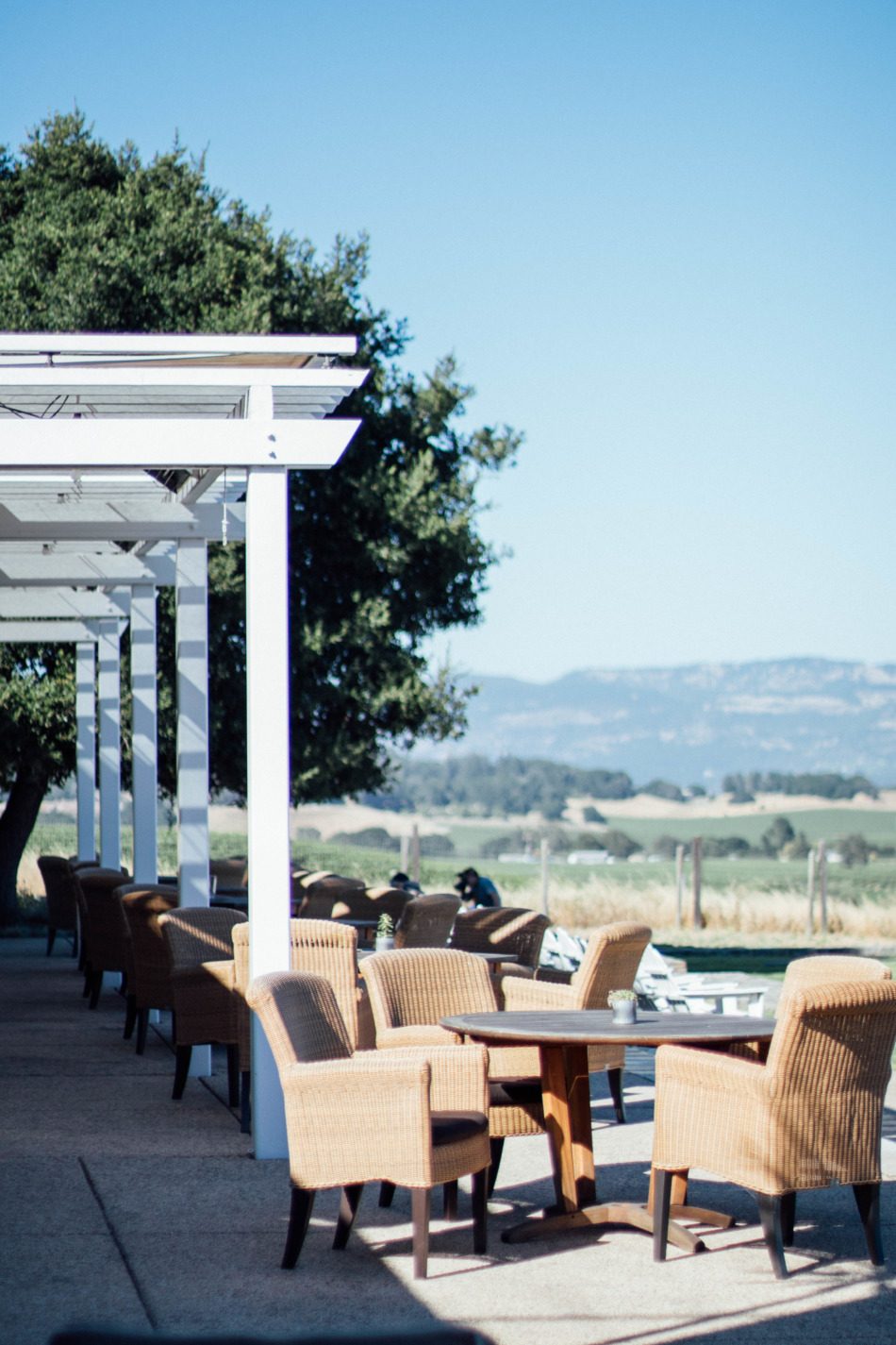 Brunch on Chestnut | Carneros Inn | Sonoma, CA