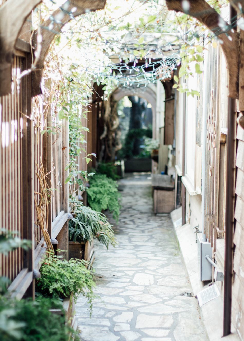 Brunch on Chestnut | Travel Guide, Carmel