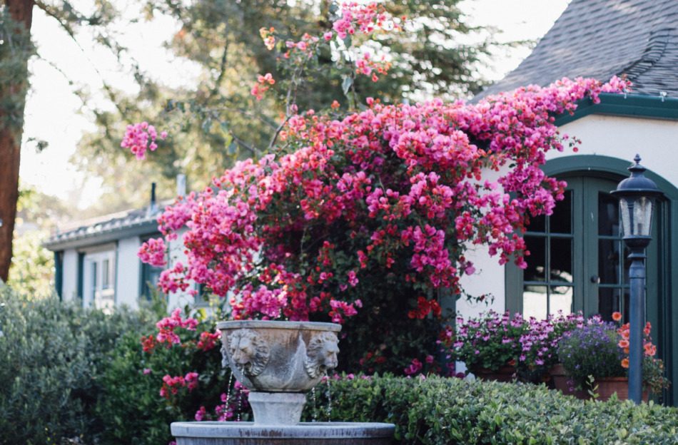 Brunch on Chestnut | Travel Guide, Carmel